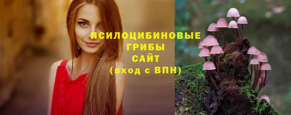 эйфоретик Алексеевка