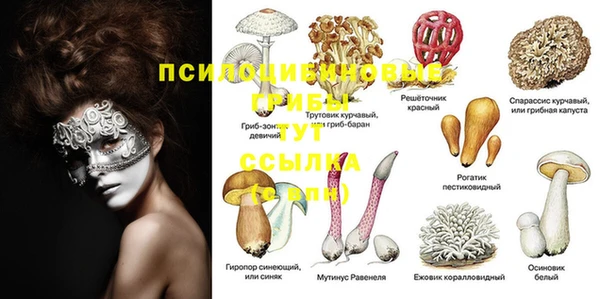 эйфоретик Алексеевка