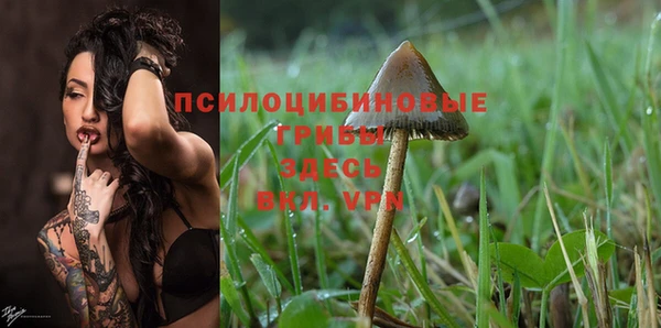 бошки Абинск