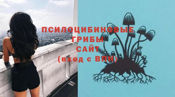 герыч Козельск