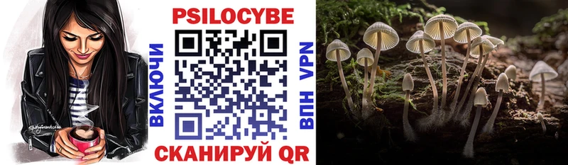 Псилоцибиновые грибы ЛСД  цены   Грязи 